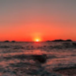 Meet your Posher, Raven